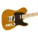 Fender® กีตาร์ไฟฟ้า ทรง Tele คอไม้เมเปิ้ล รุ่น Squier Affinity Telecaster ** ประกันศูนย์ 1 ปี **