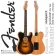 Fender® Acoustasonic Player Telecaster Shadow Burst กีตาร์โปร่งไฟฟ้า ทรง Tele ปิีกอัพ Fender & Fishman + แถมฟรีซอฟต์เคสของแท้ ** ประกันศู