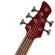 Yamaha® TRBX305 5 guitar, Active, Seoul Mahogany Rample/5 -layer Mahogani, double -layered pickup ** 1 year center warranty **