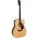 Yamaha® FG800 กีตาร์โปร่ง 41 นิ้ว ไม้แท้ท็อปโซลิดสปรูซ ทรง Dreadnought  + แถมฟรีกระเป๋าของแท้ Yamaha