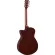 Yamaha® FSX315C กีตาร์โปร่งไฟฟ้า 40 นิ้ว ทรง Concert คอเว้า มีเครื่องตั้งสายในตัว  + แถมฟรีกระเป๋ากีตาร์ Yamaha ของแท้ & ถ่าน ** ประกันศูนย์ 1 ปี **