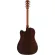 Fender® CD140sce, 41 electric guitar, "genuine Solid Stepru, Nubone, Fishman® CD-1 Preamp + Genuine Gennds from Fender® ** 1 year Insurance *