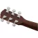 Fender® CD140sce, 41 electric guitar, "genuine Solid Stepru, Nubone, Fishman® CD-1 Preamp + Genuine Gennds from Fender® ** 1 year Insurance *