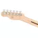 [เซ็ตอัพก่อนส่ง] Fender® Squier® Affinity Tele กีตาร์ไฟฟ้า 21เฟรต ทรง Telecaster บอดี้ไม้ป๊อปลาร์ คอเมเปิ้ล ** ประกันศูนย์ 1 ปี **