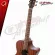 Airy guitar VELAH VGACMM - Acoustic Guitar Velah VGACMM [Free free gift] [with SET Up & QC Easy to play] [Insurance from the center] [100%authentic] [Free delivery] Turtle