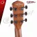 Airy guitar VELAH VGACMM - Acoustic Guitar Velah VGACMM [Free free gift] [with SET Up & QC Easy to play] [Insurance from the center] [100%authentic] [Free delivery] Turtle
