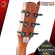 [Bangkok & Metropolitan Region Send Grab Quick] Guitar Kepma EAC, EDC [Free gifts] [with Set Up & QC Easy to play] [Insurance from the center] [100%authentic] [Free delivery] Red turtle