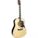 Fantasia BB2021 Blackbird กีต้าร์โปร่ง 41 นิ้ว ทรง Dreadnought คอเต็ม้ ไม้ลินเดน เคลือบเงา ปิีกการ์ดลายนก ** กีตาร์โปร่งมือใหม่ **