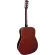 Fantasia BB2021 Blackbird กีต้าร์โปร่ง 41 นิ้ว ทรง Dreadnought คอเต็ม้ ไม้ลินเดน เคลือบเงา ปิีกการ์ดลายนก ** กีตาร์โปร่งมือใหม่ **