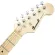 Paramount PE122 Stratosonic กีตาร์ไฟฟ้า ทรง Strat 22 เฟรต ไม้แอช คอ/ฟิงเกอร์บอร์ดไม้เมเปิ้ล ปิ๊กอัพ HSS + แถมฟรีคันโยก **ประกันศูนย์ 1 ปี **