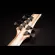 Kazuki Destroyer Series กีตาร์ไฟฟ้า 24 เฟรต ทรง Steinberger บอดี้ไม้ Swamp Ash คอไม้ Walnut/Maple ปิ๊กอัพ Wilkinson ฮัมค