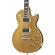 Epiphone® Slash Les Paul Standard Electric Guitar Les Paul Signature Slash Mahogany Body Flame Maple