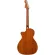 Fender® Newporter Player กีตาร์โปร่งไฟฟ้า 41 นิ้ว ไม้โซลิดสปรูซ/มะฮอกกานี หัวไฟฟ้า Fender  ปิ๊กอัพ Fishman® ** ประกันศูน