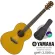 Yamaha® CSF1M กีตาร์โปร่งไฟฟ้า 37 นิ้ว ทรง Parlor ไม้ท็อปโซลิดซิดก้าสปรูซ/มะฮอกกานี ใช้สาย Elixir + แถมฟรีกระเป๋ากีตาร์บ