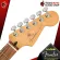 [Bangkok & Metropolitan Lady to send Grab Urgent] Electric guitar, Fender Player Plus Stratocaster [Free giveaway] [with Set Up & QC] [Insurance from Zero] [100%authentic] [Free delivery] Turtle