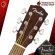 Fender CD -40sce [free gifts free] [with Set Up & QC easy to play] [Center insurance] [100%authentic] Red turtle