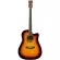 Fantasia C42, 41 inch guitar, Dreadnough shape, concave neck, spruce/linden coated ** New acoustic guitar ** + free