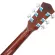 Fantasia C42, 41 inch guitar, Dreadnough shape, concave neck, spruce/linden coated ** New acoustic guitar ** + free