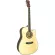 Fantasia C42 กีต้าร์โปร่ง 41 นิ้ว ทรง Dreadnought คอเว้า ไม้สปรูซ/ลินเดน เคลือบเงา ** กีตาร์โปร่งมือใหม่ **