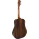 Paramount S500, Airy Guitar 41 "D shape, Top Sol, Cedar, Prud/Broo, Professional Level Black nickel knob ** use D