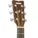 YAMAHA® FSX820C 40 -inch electric guitar, Concert Cutaway 20 Frete, Top Salid Stud/Mahogany+ Free Deluxe & Car Wrench & Carcan ** Insurance 1