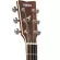 Yamaha® FGX830C กีตาร์โปร่งไฟฟ้า 41 นิ้ว ไม้ท็อปโซลิดสปรูซ/โรสวู้ด มีเครื่องตั้งสายในตัว + แถมฟรีกระเป๋ากีตาร์โปร่ง Yamaha Deluxe & คู่มือกีตาร์โปร่ง