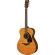 Yamaha® FS800 กีตาร์โปร่ง 40 นิ้ว ทรง Concert ไม้ท็อปโซลิดสปรูซ/ไม้นาโต้ เคลือบเงา + แถมฟรีกระเป๋ากีตาร์โปร่ง Yamaha