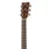 Yamaha® FS800 กีตาร์โปร่ง 40 นิ้ว ทรง Concert ไม้ท็อปโซลิดสปรูซ/ไม้นาโต้ เคลือบเงา + แถมฟรีกระเป๋ากีตาร์โปร่ง Yamaha