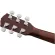 Fender® CD60SCE Acoustic Electric Guitar กีตาร์โปร่งไฟฟ้า 41 นิ้ว ไม้ท็อปโซลิดสปรูซ + แถมฟรีกระเป๋า & ถ่าน & ประแจขันคอ ** ประกันศูนย 1 ปี **