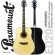 Paramount ED20 Acoustic Guitar กีตาร์โปร่ง 41 นิ้ว คอเว้า ไม้สปรูซ/ลินเดน ลูกบิดดำ กีต้าร์โปร่งมือใหม่เสียงดี