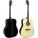Paramount ED20 Acoustic Guitar กีตาร์โปร่ง 41 นิ้ว คอเว้า ไม้สปรูซ/ลินเดน ลูกบิดดำ กีต้าร์โปร่งมือใหม่เสียงดี