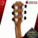 [Bangkok & Metropolitan Region Send Grab Quick] Baton Rouge AR61 Series [free free gift] [with Set Up & QC easy to play] [Insurance from zero] [100%authentic] [Free delivery] Red turtle