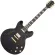 Paramount Seg-272 Electric guitar Semi-Hollow 22 Frets Basswood Basswood Mahogany Finger Board Rosewood Humk