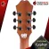 [กทม.&ปริมณฑล ส่งGrabด่วน] กีต้าร์โปร่งไฟฟ้า Epiphone AJ210CE [ฟรีของแถมครบชุด] [พร้อมSet Up&QCเล่นง่าย] [ประกันจากศูนย์] [แท้100%] [ส่งฟรี] เต่าแดง