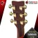 Yamaha LLTA electric acoustic guitar [free gift] [with Set Up & QC easy to play] [Insurance from zero] [100%authentic] [Free delivery] Red turtle