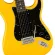 Fender® Player Strat Ebony Limited Edition, 22 Frete, Strat, Alder Picks, Alnico 5 Strat®, Special Color