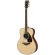 Yamaha® FS830 กีตาร์โปร่ง 40 นิ้ว ไม้ท็อปโซลิดสปรูซ/โรสวู้ด ทรง Concert + แถมฟรีกระเป่า & จูนเนอร์ & คาโป้ & ปิ๊ก