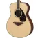 Yamaha® FS830 กีตาร์โปร่ง 40 นิ้ว ไม้ท็อปโซลิดสปรูซ/โรสวู้ด ทรง Concert + แถมฟรีกระเป่า & จูนเนอร์ & คาโป้ & ปิ๊ก