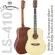 Ressonance LS-410 กีตาร์โปร่ง 41 นิ้ว ทรง Dreadnought ไม้สปรูซ/มะฮอกกานี อินเลย์ศิลปะกราฟิตี้ เคลือบเงา ** เซ็ตอัพก่อนส่ง **