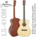Ressonance LS-41OM Acoustic Guitar กีตาร์โปร่ง 41 นิ้ว ทรง OM ไม้สปรูซ/มะฮอกกานี เคลือบเงา จับเล่นตีคอร์ดง่าย ** เซ็ตอัพก่อนส่ง **
