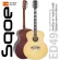 SQOE ED-49, airy guitar, 42 inches, jumbo shape, double o, tops, tops, soup / Mahogany coated / Gibson style ** SPIN's guitar brand **