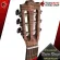 [Bangkok & Metropolitan Region Send Grab Quick] Classic Baton Rouge CR61S / ACE-R [free free gift] [with Set Up & QC easy to play] [Insurance from the center] [100%authentic] [Free delivery] Red turtle