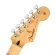 Fender® Player Strat HSS MN Limited Edition กีตาร์ไฟฟ้า 22 เฟรต ทรง Strat ไม้อัลเดอร์ ปิ๊กอัพ HSS Alnico 5+2 ** Made in Mexico / ประกันศูนย์ 1 ปี **