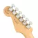 Fender® Player Strat HSS MN Limited Edition กีตาร์ไฟฟ้า 22 เฟรต ทรง Strat ไม้อัลเดอร์ ปิ๊กอัพ HSS Alnico 5+2 ** Made in Mexico / ประกันศูนย์ 1 ปี **