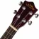 Lanikai อูคูเลเล่โปร่งไฟฟ้า Tenor ไม้ Solid Spruce + สาย Aquila Nylgut รุ่น S-TEQ Tenor Acoustic Electric Ukulele