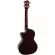 Lanikai อูคูเลเล่โปร่งไฟฟ้า Tenor ไม้ Solid Spruce + สาย Aquila Nylgut รุ่น S-TEQ Tenor Acoustic Electric Ukulele