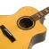 Paramount C5E 41 "Electric guitar 41" Professional red pine wood, built -in strap machine + free bag & kapo & pick up ** Choose a pickup / 1 year insurance **