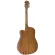 Paramount Electric Guitar Squat wood/walnut wood 40 "Special sound channel SQ-F + built-in strap machine