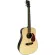 Paramount 38DJR-3, 38-inch electric guitar, Taylor shape, has a built-in strap / rosewood + free bag & pic