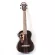 Wholesale a lot of 26 inches, all 26 -inch, Blagwood, Ukulele, Ukulele, with Truss ROD and Gigbag and all accessories.